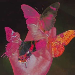 Meet your Posher, Vanessa